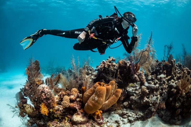 Andaman Trip Cost 2026