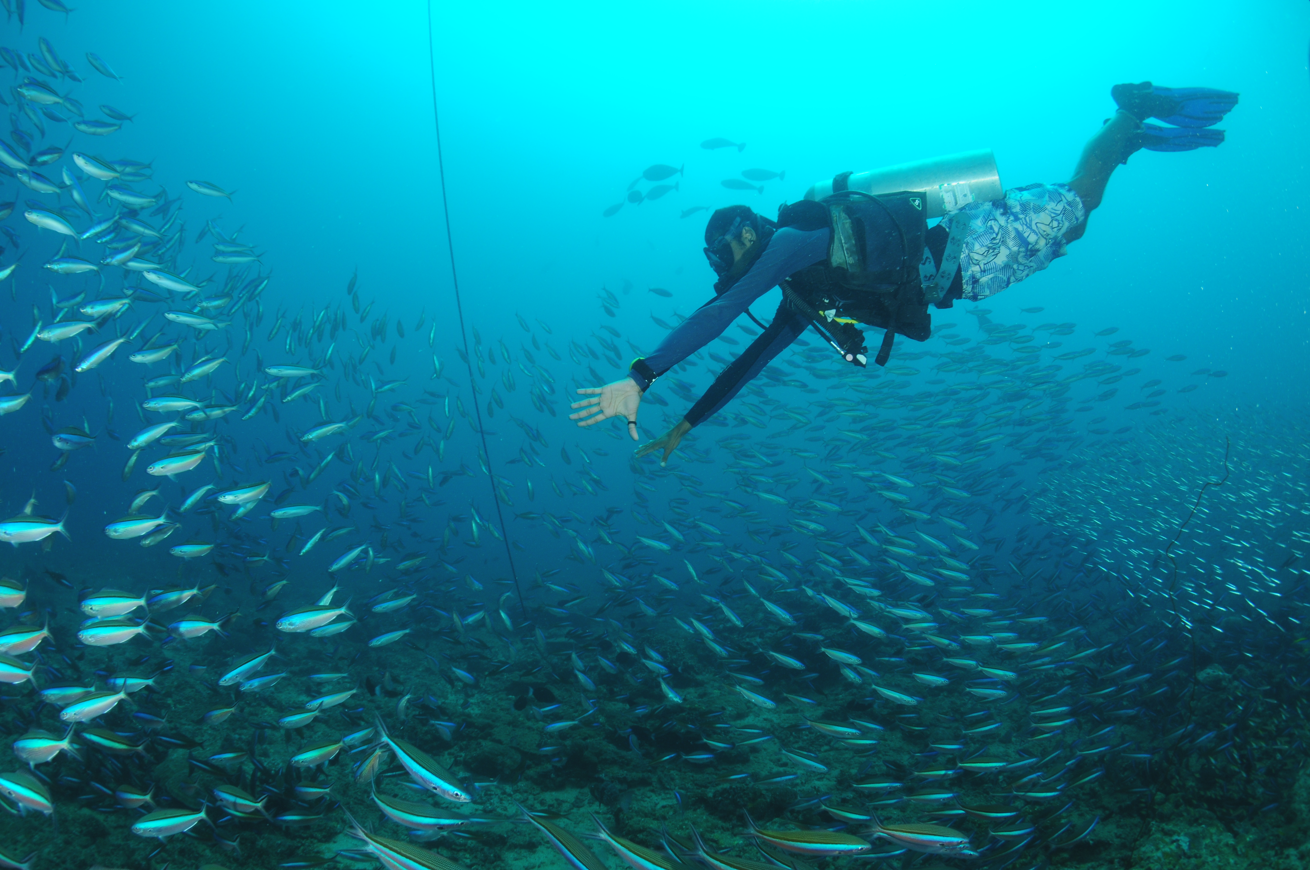 Scuba Diving Price in Andaman
