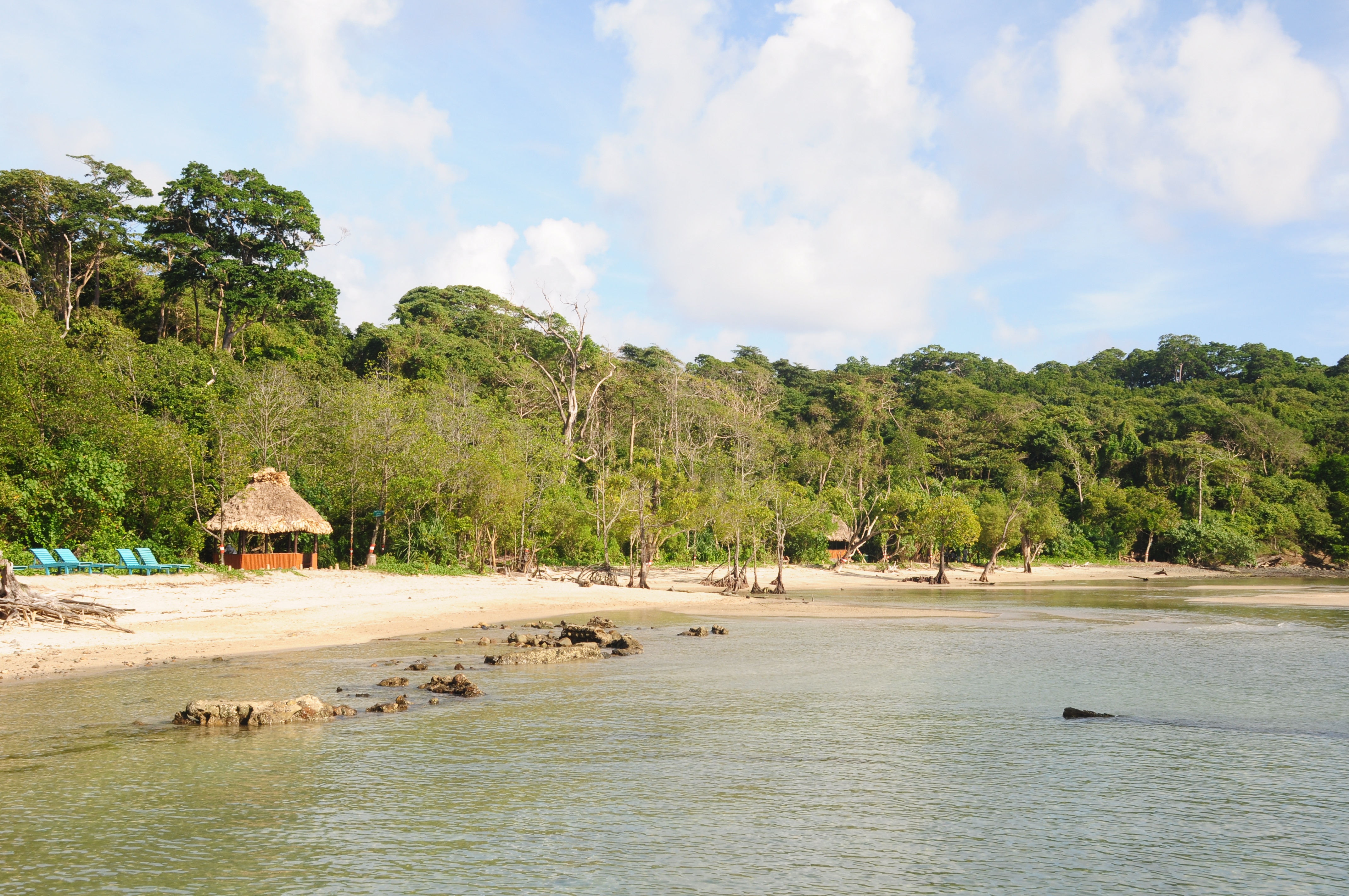 Best Beaches in Andaman